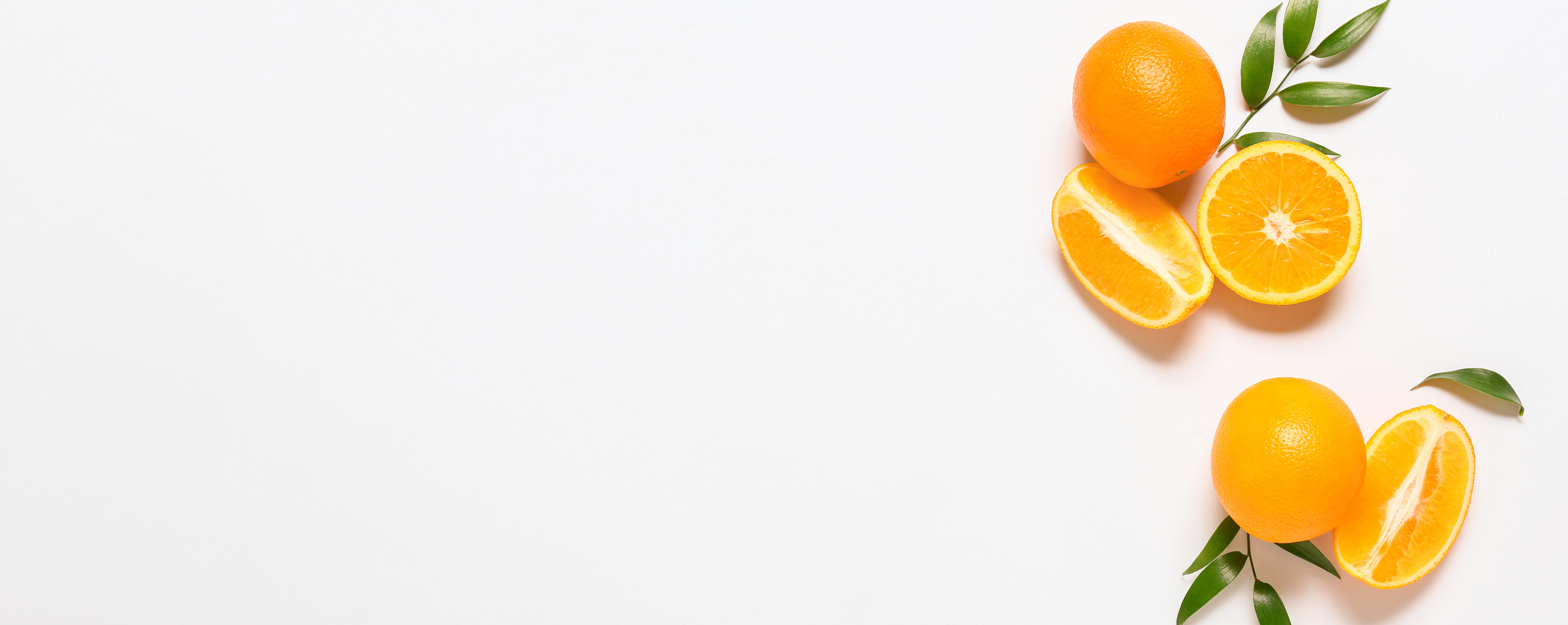 Fresh Oranges on White Background with Space for Text